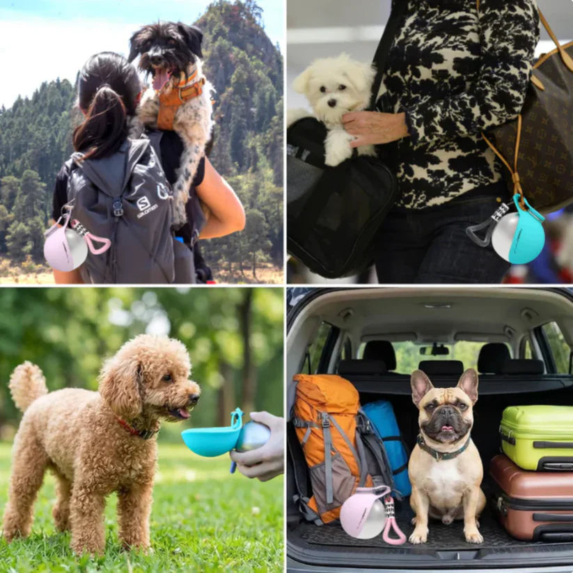 2-in-1 Portable Dog Water Bottle with Foldable Bowl